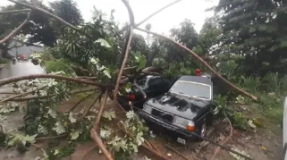 Mobil Tertimpa Pohon dan Tembok Jebol Diterjang Luapan Sungai