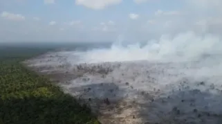 Karhutla di Muaro Jambi menimbulkan asap. (Dok. BPBD Jambi)