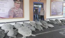 Orasi.ID